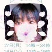 ヒメ日記 2025/11/17 08:22 投稿 しおね 錦糸町ミセスアロマ（ユメオト）