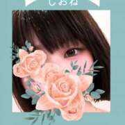 ヒメ日記 2026/02/20 10:18 投稿 しおね 錦糸町ミセスアロマ（ユメオト）