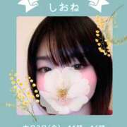 しおね 本日出勤🪻探し物の旅へ 錦糸町ミセスアロマ（ユメオト）
