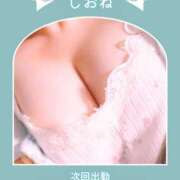しおね むちむちノーブラ🩷【次回→24日 11時～16時】 錦糸町ミセスアロマ（ユメオト）