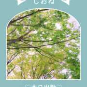 しおね お勉強始めました🌿【本日11時～16時】 錦糸町ミセスアロマ（ユメオト）