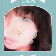 しおね 突然ですが…！【本日11時30分～15時30分】 錦糸町ミセスアロマ（ユメオト）