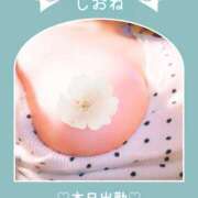 ヒメ日記 2026/05/26 08:37 投稿 しおね 錦糸町ミセスアロマ（ユメオト）