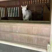 ヒメ日記 2026/03/18 00:20 投稿 ちゃこ 熟女の風俗最終章　越谷店