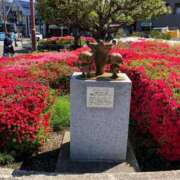 ヒメ日記 2026/04/19 16:58 投稿 ちゃこ 熟女の風俗最終章　越谷店