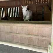 ヒメ日記 2025/08/19 23:32 投稿 ちゃこ 熟女の風俗最終章 西川口店