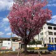 ヒメ日記 2026/03/27 16:30 投稿 ちゃこ 熟女の風俗最終章 西川口店