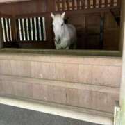 ヒメ日記 2026/06/04 18:14 投稿 ちゃこ 熟女の風俗最終章 西川口店