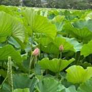ヒメ日記 2026/07/29 10:50 投稿 ちゃこ 熟女の風俗最終章 西川口店