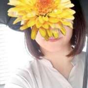 ヒメ日記 2025/08/17 11:47 投稿 石原やえ セカンドパートナー