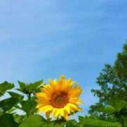 ヒメ日記 2025/08/18 02:24 投稿 石原やえ セカンドパートナー