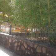 ヒメ日記 2025/09/26 07:34 投稿 石原やえ セカンドパートナー