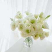 ヒメ日記 2025/12/28 10:02 投稿 石原やえ セカンドパートナー