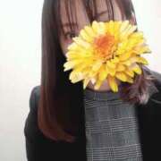 ヒメ日記 2026/02/20 06:04 投稿 石原やえ セカンドパートナー