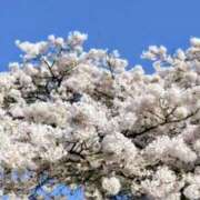 石原やえ フレッシュマン セカンドパートナー本店