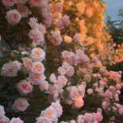 ヒメ日記 2025/09/22 19:09 投稿 陽菜(ひな) グランドオペラ横浜