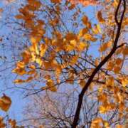 ヒメ日記 2025/09/30 19:41 投稿 陽菜(ひな) グランドオペラ横浜