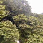 ヒメ日記 2026/09/08 20:41 投稿 陽菜(ひな) グランドオペラ横浜