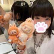 ヒメ日記 2025/10/11 13:45 投稿 ねも Noble