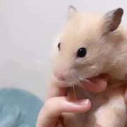 ヒメ日記 2025/12/08 21:03 投稿 あお 素人系イメージSOAP彼女感大宮館