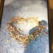 ヒメ日記 2025/08/17 07:54 投稿 しの 水戸人妻花壇