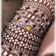 ヒメ日記 2025/08/24 10:19 投稿 しの 水戸人妻花壇