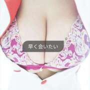 ヒメ日記 2025/09/17 15:59 投稿 しの 水戸人妻花壇