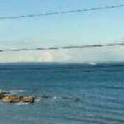 ヒメ日記 2025/11/07 12:36 投稿 しの 水戸人妻花壇