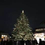 ヒメ日記 2025/12/23 19:30 投稿 ラナ クイック（Quick）