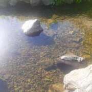 ヒメ日記 2025/09/09 14:34 投稿 かえ 沖縄ちゃんこ那覇店