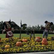 ヒメ日記 2025/10/13 08:32 投稿 遠藤カンナ しゅうかつ倶楽部