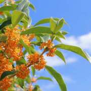 ヒメ日記 2025/11/05 13:38 投稿 遠藤カンナ しゅうかつ倶楽部