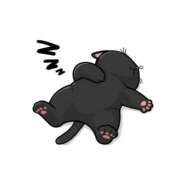 ヒメ日記 2025/09/15 06:58 投稿 マイメロ ドMな奥様 大阪本店