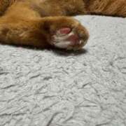 ヒメ日記 2025/10/06 09:14 投稿 マイメロ ドMな奥様 大阪本店