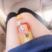 ヒメ日記 2025/11/19 15:14 投稿 マイメロ ドMな奥様 大阪本店