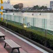 ヒメ日記 2025/10/02 12:45 投稿 せりか 熟女の風俗最終章 錦糸町店