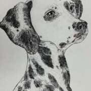 ヒメ日記 2025/09/04 15:56 投稿 藤森粧子(ふじもりしょうこ) 五十路マダムエクスプレス厚木店(カサブランカグループ)