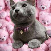 ヒメ日記 2025/09/11 21:56 投稿 藤森粧子(ふじもりしょうこ) 五十路マダムエクスプレス厚木店(カサブランカグループ)