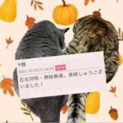 ヒメ日記 2025/10/05 13:04 投稿 藤森粧子(ふじもりしょうこ) 五十路マダムエクスプレス厚木店(カサブランカグループ)