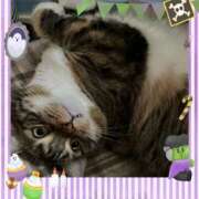 ヒメ日記 2025/10/12 17:06 投稿 藤森粧子(ふじもりしょうこ) 五十路マダムエクスプレス厚木店(カサブランカグループ)