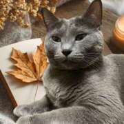 ヒメ日記 2025/10/13 12:44 投稿 藤森粧子(ふじもりしょうこ) 五十路マダムエクスプレス厚木店(カサブランカグループ)