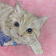 ヒメ日記 2025/10/16 23:22 投稿 藤森粧子(ふじもりしょうこ) 五十路マダムエクスプレス厚木店(カサブランカグループ)