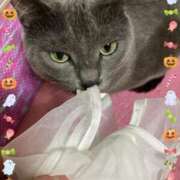 ヒメ日記 2025/10/18 14:14 投稿 藤森粧子(ふじもりしょうこ) 五十路マダムエクスプレス厚木店(カサブランカグループ)