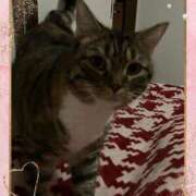 ヒメ日記 2025/10/29 16:42 投稿 藤森粧子(ふじもりしょうこ) 五十路マダムエクスプレス厚木店(カサブランカグループ)