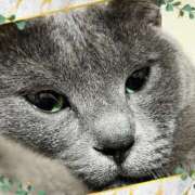 ヒメ日記 2025/10/31 01:42 投稿 藤森粧子(ふじもりしょうこ) 五十路マダムエクスプレス厚木店(カサブランカグループ)