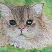 ヒメ日記 2025/11/05 13:52 投稿 藤森粧子(ふじもりしょうこ) 五十路マダムエクスプレス厚木店(カサブランカグループ)