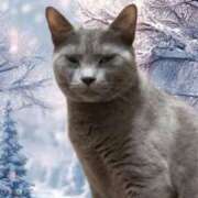 ヒメ日記 2025/12/14 13:28 投稿 藤森粧子(ふじもりしょうこ) 五十路マダムエクスプレス厚木店(カサブランカグループ)