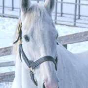 ヒメ日記 2025/12/29 02:34 投稿 藤森粧子(ふじもりしょうこ) 五十路マダムエクスプレス厚木店(カサブランカグループ)