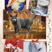 ヒメ日記 2026/01/01 00:32 投稿 藤森粧子(ふじもりしょうこ) 五十路マダムエクスプレス厚木店(カサブランカグループ)