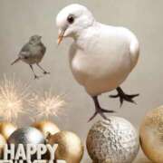 ヒメ日記 2026/01/02 02:04 投稿 藤森粧子(ふじもりしょうこ) 五十路マダムエクスプレス厚木店(カサブランカグループ)